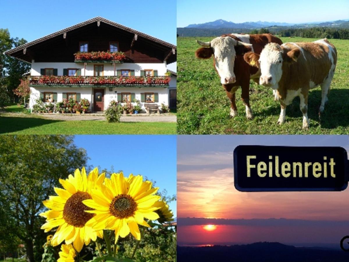 Fembacherhof Siegsdorf Esterno foto
