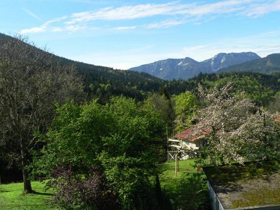 Fembacherhof Siegsdorf Esterno foto